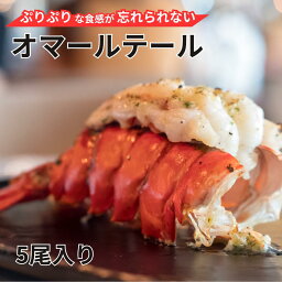 4/12-4/30までポイント10倍 オマールテール殻付 10尾入り カナダ産 冷凍HP 3~4oz