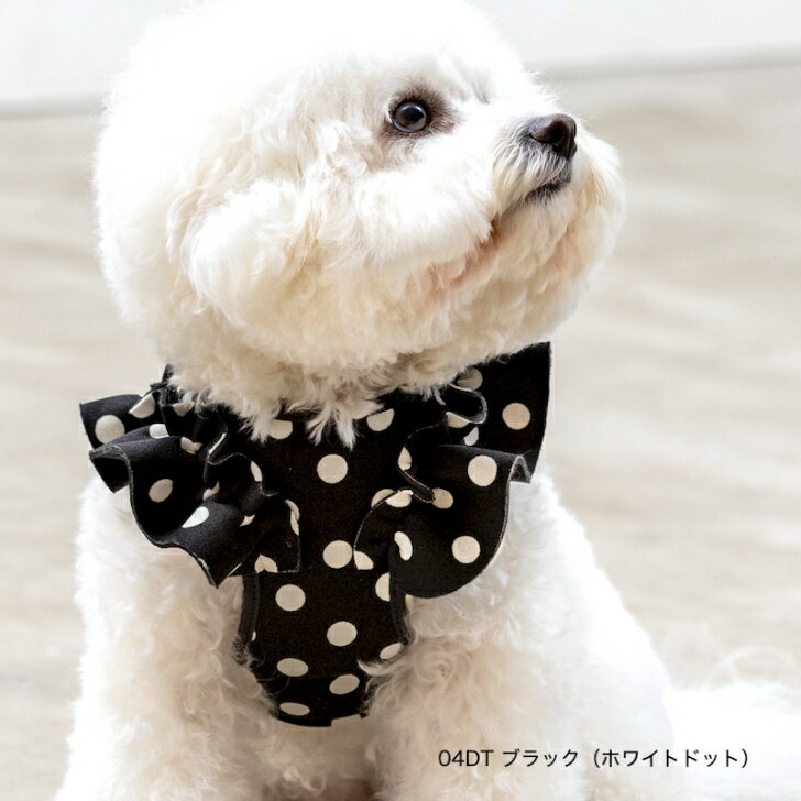 【Rapture ラプチャー】ネイプルズラッフルハーネス-ブラック(ホワイトドット)-DG-01-04DT- RAPTURE ダ..