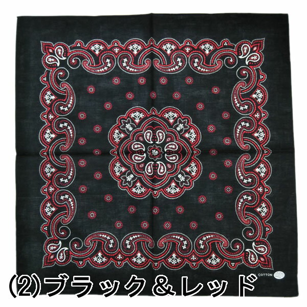 �¿������������Х���ʡ���100��53��53cm��1��