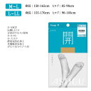 アツギ アスティーグ 開 AP9013 ストッキング