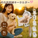 高耐久アクリルと金 防水防塵設計 犬の毛収納ボトル愛犬の抜け毛を永遠に保存す 犬の毛キーホルダー 犬毛収納ボトル ケース 遺毛
