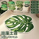 珪藻土バスマット 珪藻土マット 珪藻土 バスマット 植物 葉 30x40cm 40x60cm 50x80cm 60x90cm 80x120cm 足拭きマット 足...