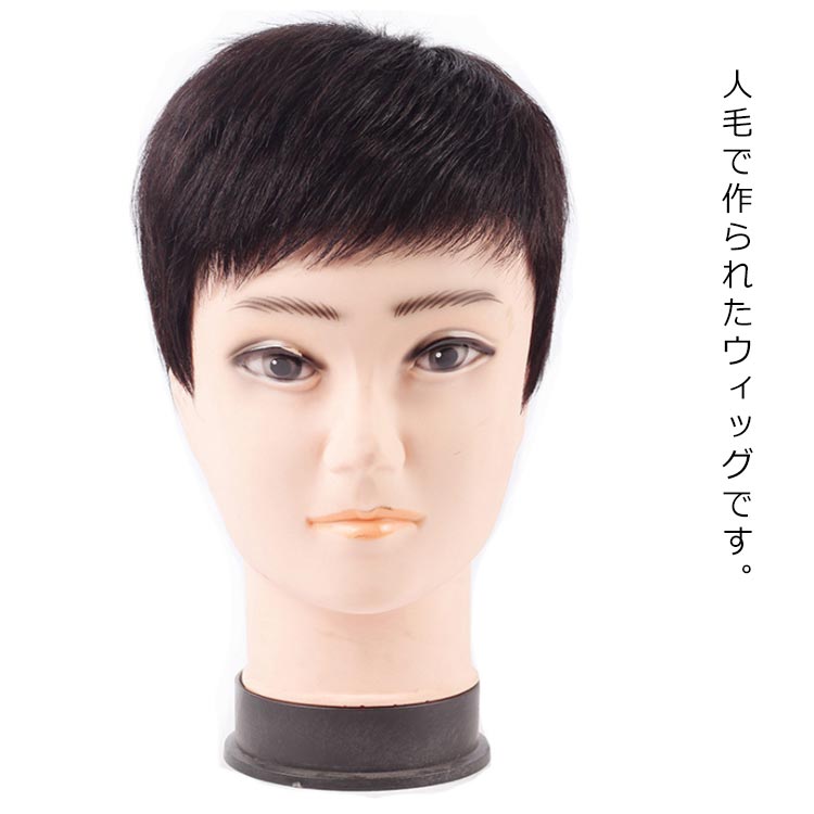 頭 薄毛 調整可能 斜め前髪 ショート メンズウィッグ 男性用かつら フルウィッグ 人毛 自然 高級人毛 送料無料 かつら ウイッグ