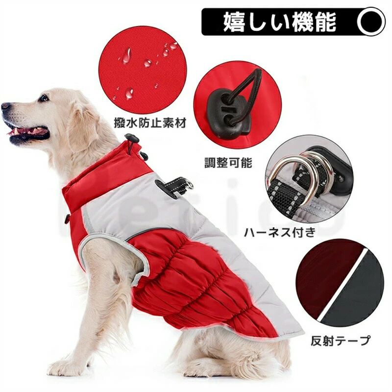 �٥��� ������ �� �ɴ��� �夻�䤹�� ���� �緿�� �淿�� ���㥱�å� �ɥå������� ��ͷ�� �ɴ� ���� µ�ʤ� ������ �Ȥ��� ����