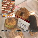 【夏本番】個包装 10個入りシューアイス 天然ヴァニラ入りプレミアセット アイスクリーム アイスシュー 夏のおやつ 冷凍シュークリーム アイスシュークリーム シ...