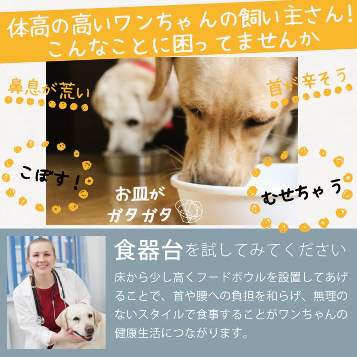 大型犬 フードボウル スタンド テーブル 餌入れ いぬ 犬 食器スタンド 北欧 アンティーク ラブラドール ゴールデン レトリーバー ステンレス アイアン 高さ約30cm ブラック/大型犬フードボウルスタンド