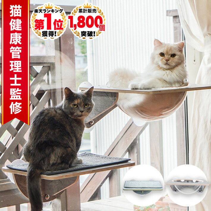 【10%OFFクーポン★SS期間】キャットタワー サボテン かわいい おしゃれ ハンモック 据え置き 多頭 コンパクト 省スペース スリム 爪とぎポール 麻紐 猫のおもちゃ 転倒防止ベルト 展望台 猫ベッド 運動不足解消 グリーン 緑 高さ107cm