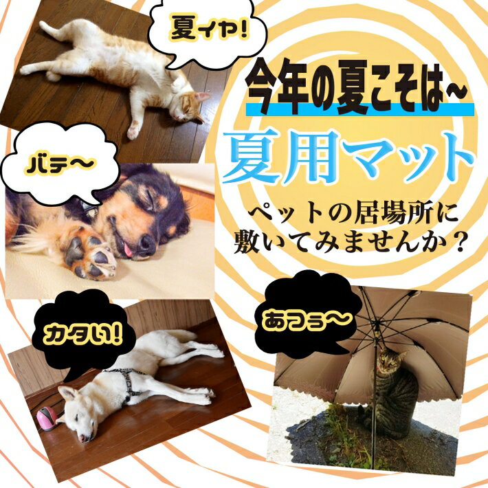 【クーポン発行中17日9:59まで】ペット 夏用 マット 犬 猫 マット クール マット 【2枚セット】 コットン100% 暑さ対策 ひんやり 洗える キルティング ベット マット 40x59cm/2枚セット ペット夏用マット