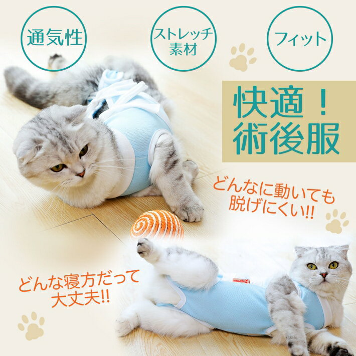 【支援募金対象】ペット 猫 術後服 去勢手術 ...の紹介画像3