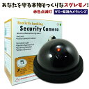 防犯カメラ LED 監視カメラ ダミーカメラ ドームタイプ ...