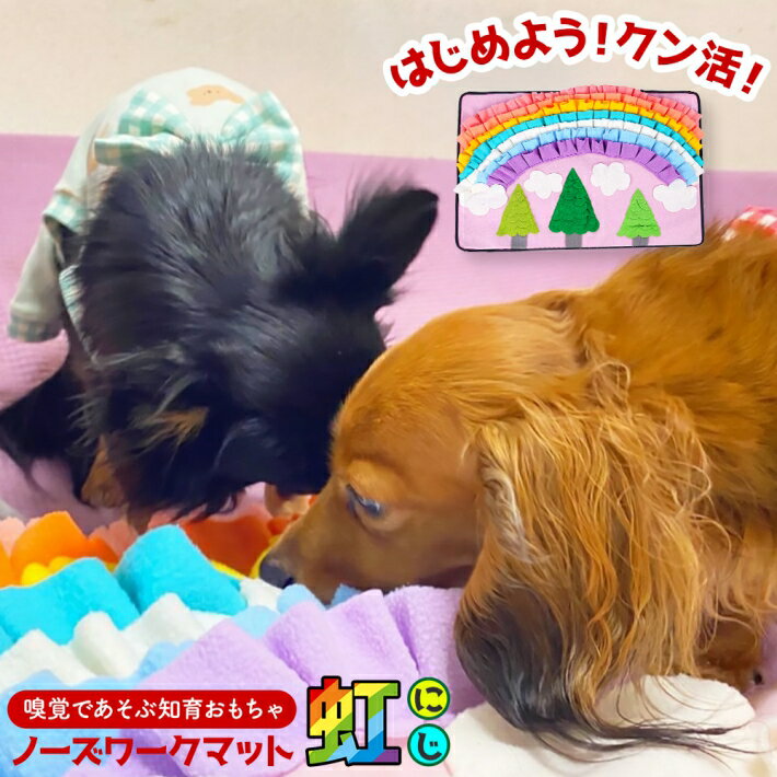 ワンちゃんの嗅覚トレーニング ストレス発散 ストレス解消 ペット用 犬 猫 おもちゃ ペット用品 ペット 嗅覚 ノーズワークマット ノーズワーク 入手困難 ノーズワークマット虹 おやつマット 知育玩具 75x56cm 訓練 ワンちゃんの嗅覚トレーニング ストレス発散 ストレス解消 ペット用 犬 猫 おもちゃ ペット用品 ペット 嗅覚 ノーズワークマット ノーズワーク 入手困難 ノーズワークマット虹 おやつマット 知育玩具 75x56cm 訓練