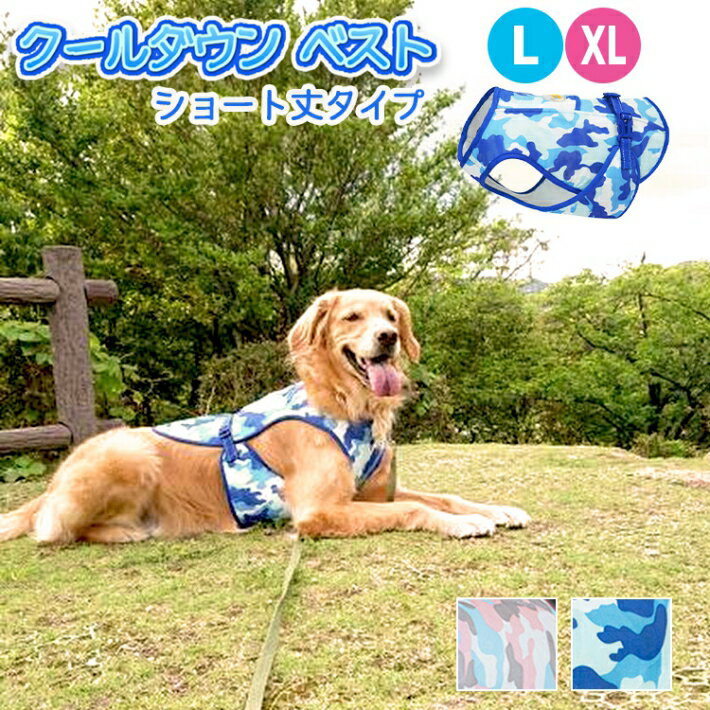 大型犬向けクールウェア！夏でも涼しい犬用冷感素材の服のおすすめは？