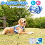 【支援募金対象】犬 クール ダウン ベスト クール 夏 ウェア 中型犬 大型犬 Lサイズ XLサイズ ブルー ピンク 濡らす 涼しい 服 ひんやり 熱中症対策 お散歩 ペット 服 ペット用品/cha_ペット用クール迷彩ベストL XL