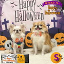 【P5倍16日1:59まで】 【支援募金対象】ハロウィン 飾り タペストリー 背景布 73x95cm かぼちゃ 装飾 仮装 コスプレ 犬 猫 子供 ペット パー...