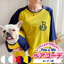 【P5倍15日23:59まで】 犬服 お揃い ペットとお揃い! ペット ペアルック オーナー用 お揃いコーデ オーナー&ペット セット ラグランT 半袖 七分袖...