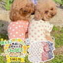 ハート型 トップス 3枚セット 犬 猫 ペット服 小型犬 シンプル おしゃれ かわいい レイヤード インナー カットソー 重ね着 薄手 ホワイト ピンク グレー...