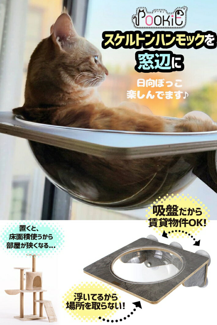 ペット用 猫 吸盤型 ハンモック スケルトン ベッド 強力吸盤 耐荷重 20kg 猫ベッド 半球 透明 窓 壁 取り付けタイプ 39x39cm /吸盤スケルトンハンモック