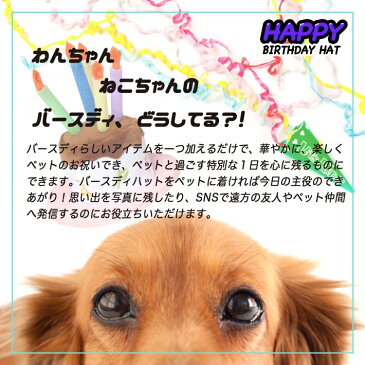 ペット バースディ 帽子 ハッピーバースデー ケーキ型 ろうそく ハット コスチューム ろうそく 帽子 犬 猫 ブルー ピンク Sサイズ Lサイズ /ペットバースディ帽子
