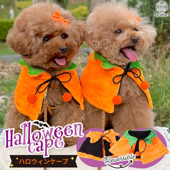 ペット ハロウィン コスプレ 衣装 ハロウィンコスチューム 犬 猫 ケープ マント リバーシブル かぼちゃ 犬服 仮装 S M オレンジ ブラック /ペット ハロウィンケープ