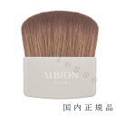 国内正規品 ALBION　アルビオン　ス