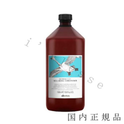 メ—カー ダヴィネス 商品名 ナチュラルテック　コンディショナー＜W＞　プロ 内容量 1000mL／コンディショナー（専用ポンプ付） 商品説明 通常サイズ約6.6本分のビッグサイズ。 髪1本1本をうるおいの膜で包み込むようなコンディショナー。適度なうるおいを補給しふんわりさらさらとした手触りに。 区分 化粧品