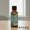 (10時までのご注文当日発送)(休業日除く)国内正規品 AVEDA アヴェダ シンギュラー ノート ユーカリプタス 30mL