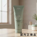 (10時までのご注文当日発送)(休業日除く)国内正規品 AVEDA(アヴェダ)スカルプ ソリューション コンディショナー 200mL/コンディショナー