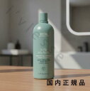 (10時までのご注文当日発送)(休業日除く)国内正規品 AVEDA アヴェダ スカルプ ソリューション コンディショナー 1000mL/コンディショナー