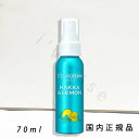 国内正規品 スチームクリーム(STEAMCREAM)スチームクリーム ミスト ハッカ&レモン 70mL/ミスト化粧水