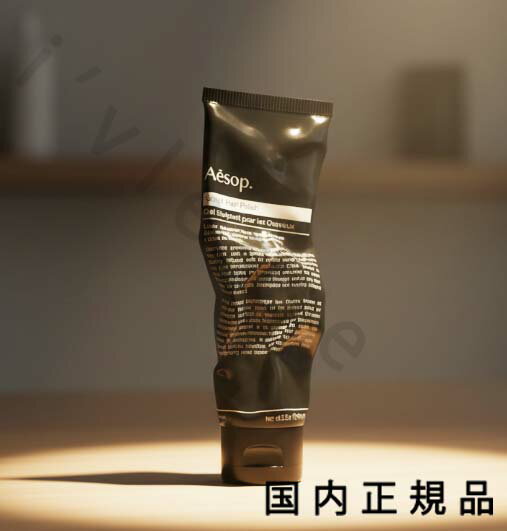 （10時までのご注文当日発送）（休業日除く）国内正規品　Aesop イソップ スカルプト　ヘアポリッシュ..