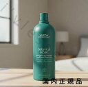 (10時までのご注文当日発送)(休業日除く)国内正規品 AVEDA(アヴェダ) ボタニカル リペア シャンプー 1000mL