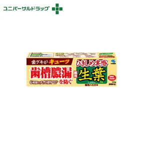 小林製薬 薬用歯みがき 生葉 100g[口臭の防止、知覚過敏用]