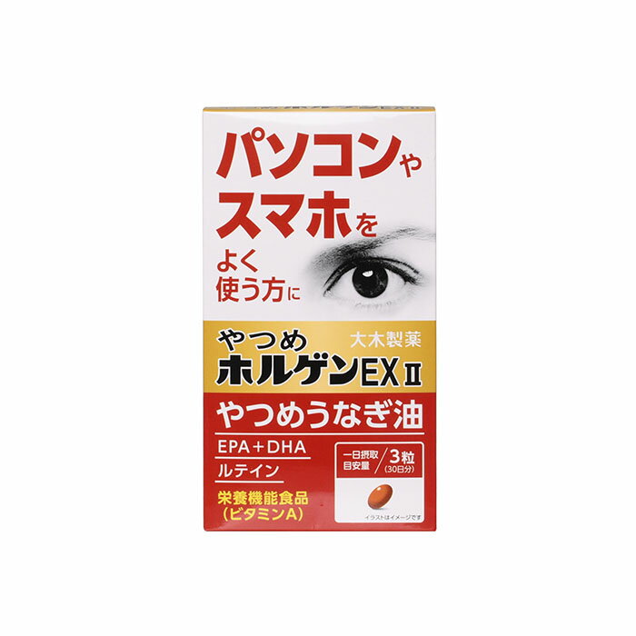 やつめホルゲンEX2