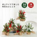 クリスマスツリー ミニ 卓上 ミニクリスマスツリー DIY可能 おしゃれ タイミング機能 ミニツリー クリスマス 飾り 置物 装飾 小さめ 卓上ツリー インテリ...