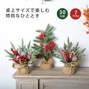 クリスマスツリー ミニ 卓上 ミニクリスマスツリー DIY可能 おしゃれ タイミング機能 ミニツリー クリスマス 飾り 置物 装飾 小さめ 卓上ツリー インテリ...