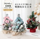 クリスマスツリー 小さめ ミニツリー 卓上 北欧 30cm 40cm LEDライト 飾りつけ 雪付き 雪化粧ツリ おしゃれ キラキラ 光る 電池式 雰囲気満々 ...