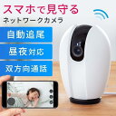 ネットワークカメラ 屋内 防犯 見守り 自動追尾 追跡 Wi-Fi 無線 ベビーモニター ペットカメラ 夜間撮影 動体検知 スマホ 家庭用 天井取付可