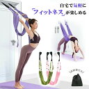 ヨガベルト フィットネスバンド 筋トレ バンド 空中ブランコ ヨガ ハンモック 筋トレ バンド ピラティスのトレ反重力 反重力ヨガ トレーナーをアシスト エクサ...