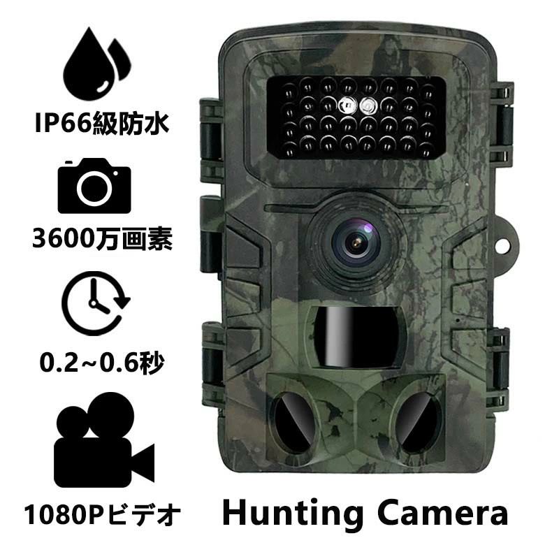 防犯カメラ トレイルカメラ 電池式 小型 屋外 屋内 録画 監視カメラ 防水 防塵 1080p対応 赤外線LED 動体検知 人感 rashinipurasu-10000414 ラシニプラス堂 サンプル画像2