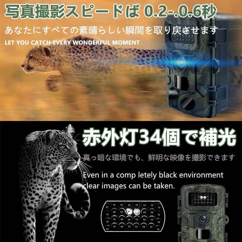 防犯カメラ トレイルカメラ 電池式 小型 屋外 屋内 録画 監視カメラ 防水 防塵 1080p対応 赤外線LED 動体検知 人感 rashinipurasu-10000414 ラシニプラス堂 サンプル画像3
