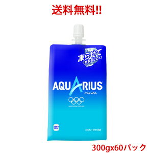 【日本全国送料無料】コカ・コーラ（コカコーラ）アクエリアス 300gハンディーパック 300g×60パック 販売