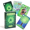 タニスルノルマンタロットカードTANIS LENORMAND TAROTTAROT CARDPARTY GAME