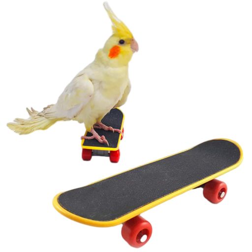 Phyxiul 鳥玩具 スケートボード ペット用品インコ ミニ スケートり物 鳥 立て 訓練知育玩具 強化された運動 ストレス解消 おもちゃ