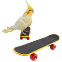 PHYXIUL 鳥玩具 スケートボード ペット用品インコ ミニ スケートり物 鳥 立て 訓練知育玩具 強化された運動 ストレス解消 おもちゃ