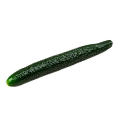 Remeehi 本物そっくり リアル野菜模型 食品模型 食品サンプル ディスプレイなどに キュウリ