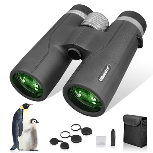 UBeesizeд1042x12HDΨ42mm¡ڻθؤΤɿBak4FMCܳŪƩΨ饤/󥵡/...