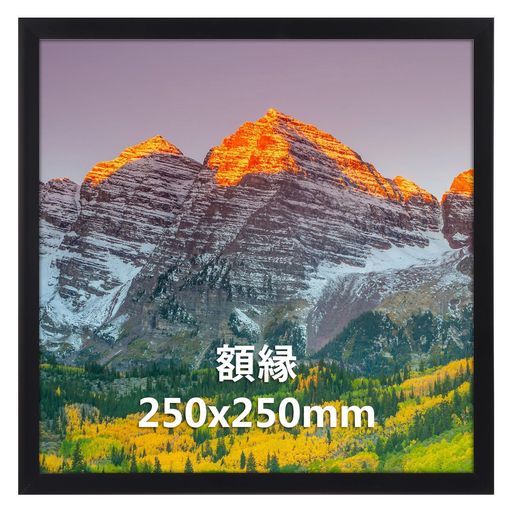 Vasemouh 額縁 正方形 25角 額 フォトフレーム 250x250mm ポスター 絵 写真 ブラック 1枚 壁掛け 卓上兼用