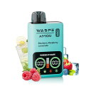 電子タバコ使い捨てベイプWASPEvape25000回吸引禁煙パイポ爆煙本体水蒸気タバコシーシャ持ち運び650mAhType-C充電可能ニコチンタール無し(25000回ブルーベリーラズベリーレモネード)