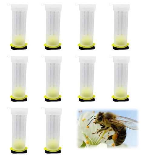 女王蜂飼育ケース10pcs養蜂器具ミツバチ巣箱養蜂巣箱養蜂道具ミツバチ給餌機ミツバチ巣箱蜜蜂養蜂器具..