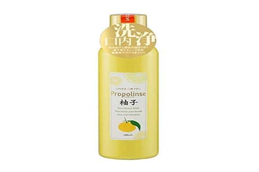 ԥ饹 ץݥ 600ML ͮ